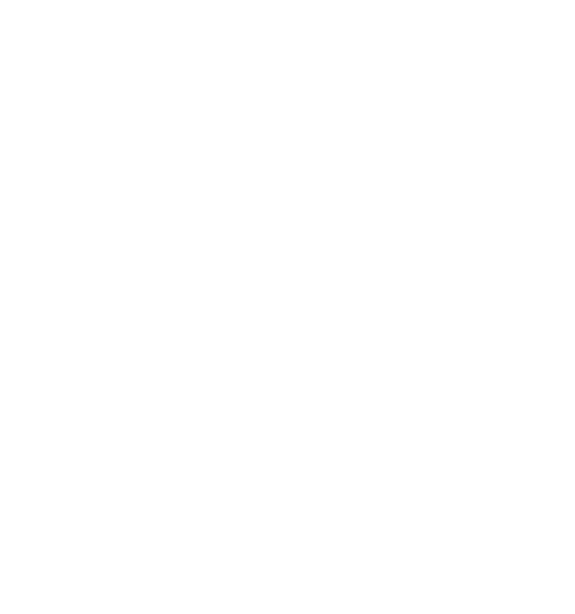 ИНИЗ